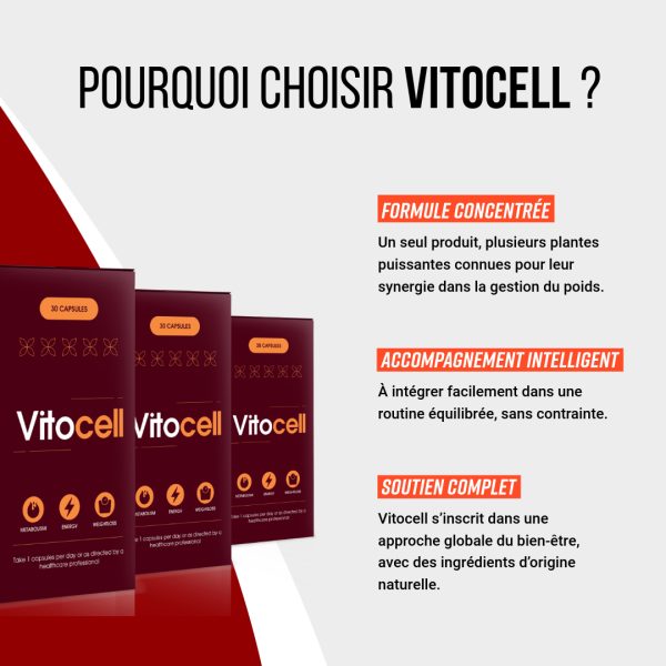 Vitocell – Image 7