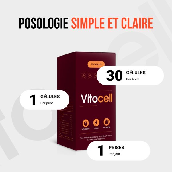 Vitocell – Image 5