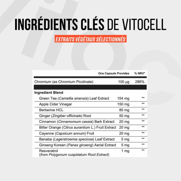 Vitocell – Image 3