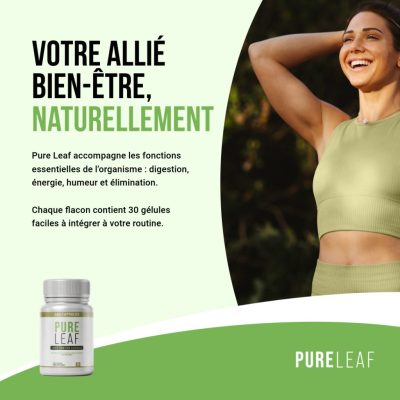 Pure Leaf-1-Pure Leaf - Card 1