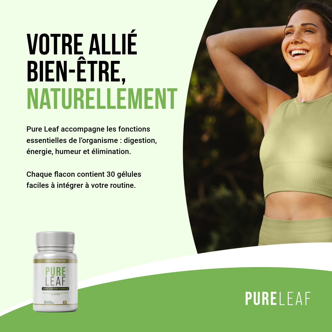 Pure Leaf-1-Pure Leaf - Card 1